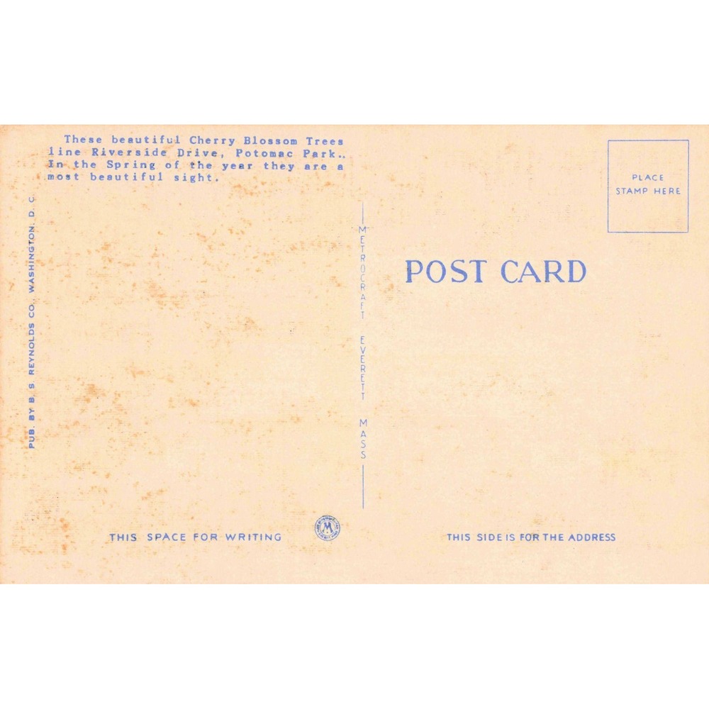 Vintage Washington Monument Cherry Blossoms Night Linen Postcard DC 49137 VG - Picture 2 of 2